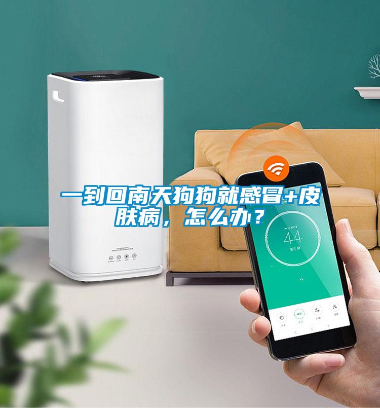 一到回南天狗狗就感冒+皮膚病，怎么辦？