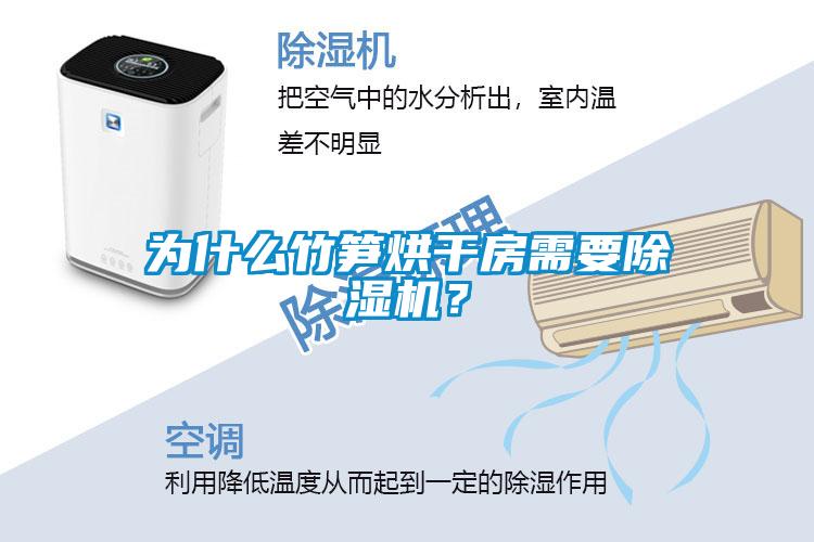 為什么竹筍烘干房需要除濕機(jī)？