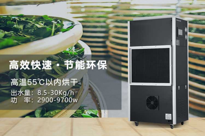 夏天來了，記得祛濕哦