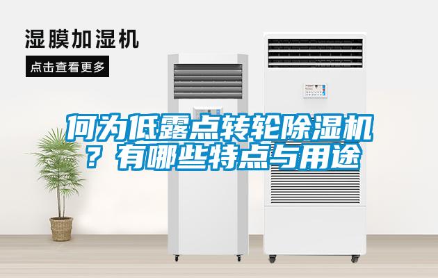 何為低露點轉輪除濕機？有哪些特點與用途