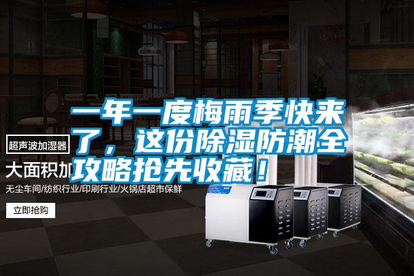 一年一度梅雨季快來了，這份除濕防潮全攻略搶先收藏！