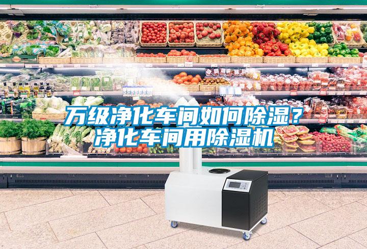 萬級(jí)凈化車間如何除濕？凈化車間用除濕機(jī)