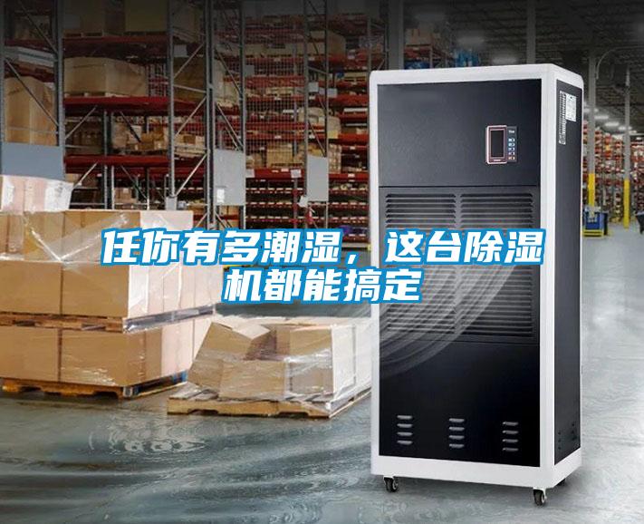 任你有多潮濕，這臺除濕機都能搞定