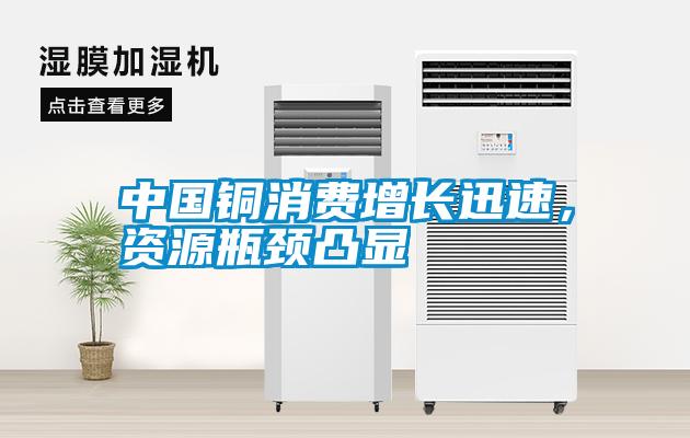 中國(guó)銅消費(fèi)增長(zhǎng)迅速，資源瓶頸凸顯