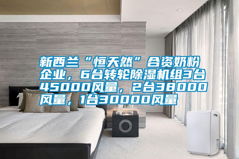 新西蘭“恒天然”合資奶粉企業(yè)，6臺轉(zhuǎn)輪除濕機組3臺45000風量，2臺38000風量，1臺30000風量
