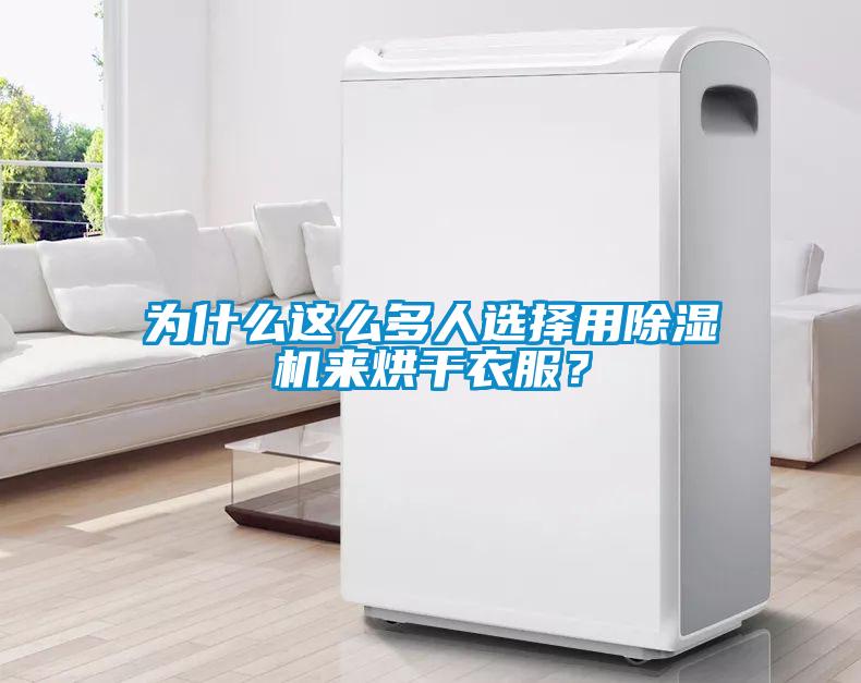 為什么這么多人選擇用除濕機來烘干衣服？