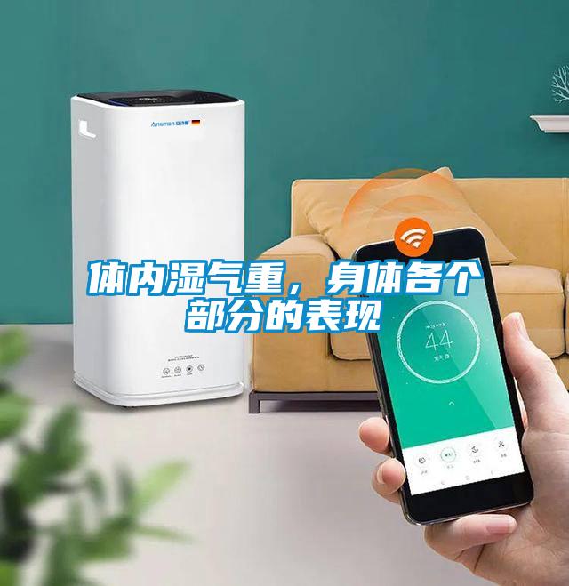體內濕氣重，身體各個部分的表現
