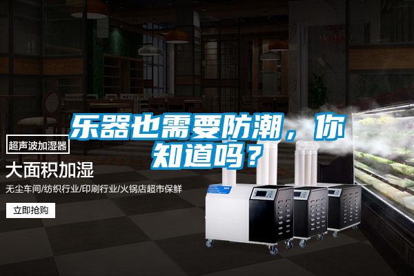 樂器也需要防潮，你知道嗎？