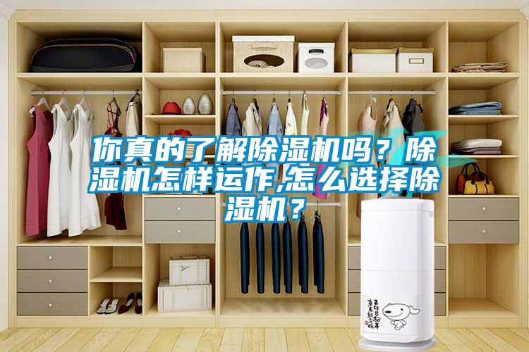你真的了解除濕機嗎？除濕機怎樣運作,怎么選擇除濕機？
