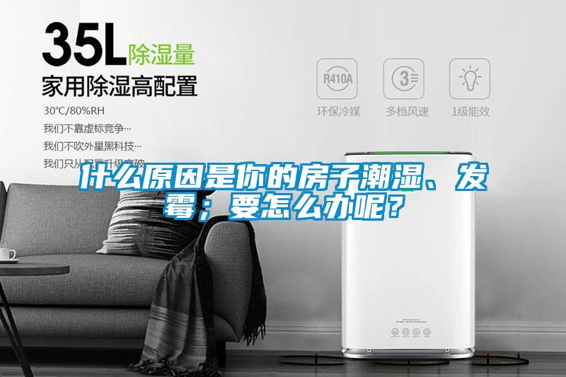 什么原因是你的房子潮濕、發霉；要怎么辦呢？