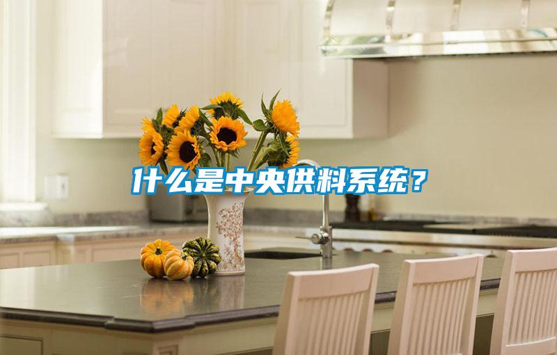 什么是中央供料系統？