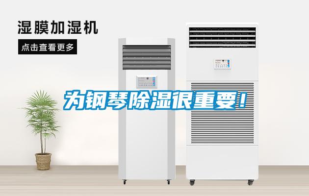 為鋼琴除濕很重要！