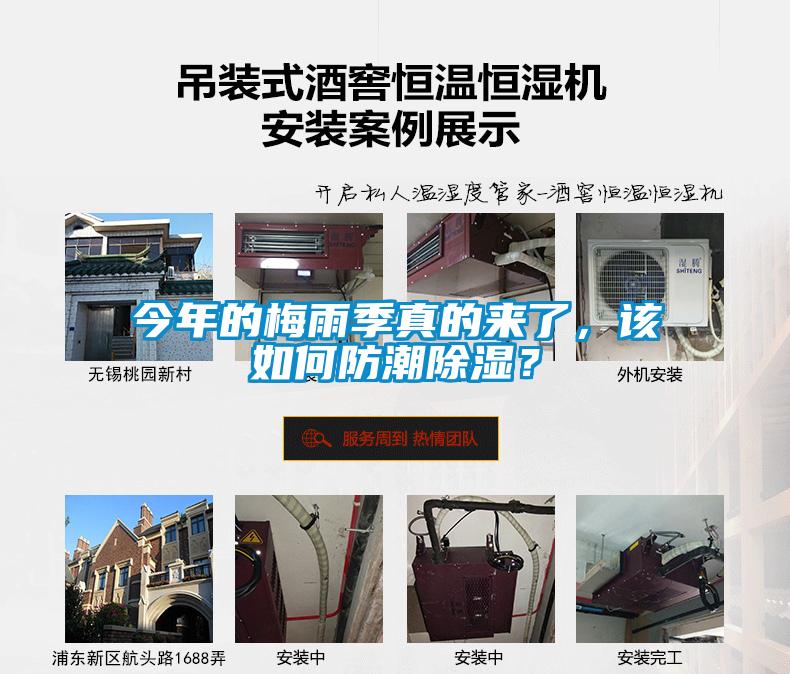今年的梅雨季真的來了，該如何防潮除濕？