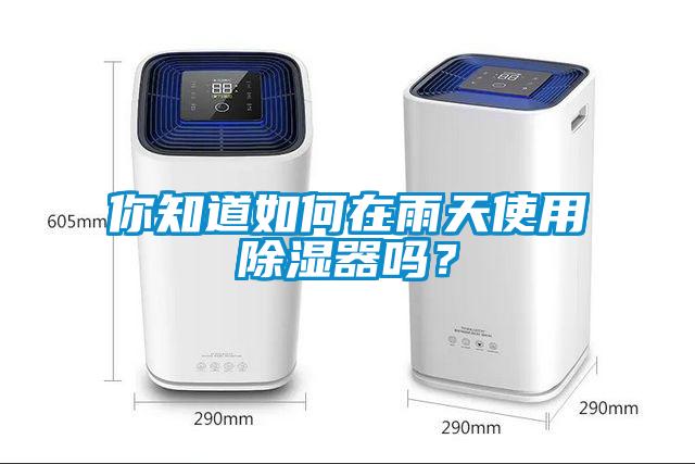 你知道如何在雨天使用除濕器嗎？