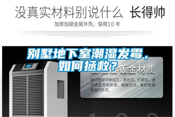 別墅地下室潮濕發霉，如何拯救？