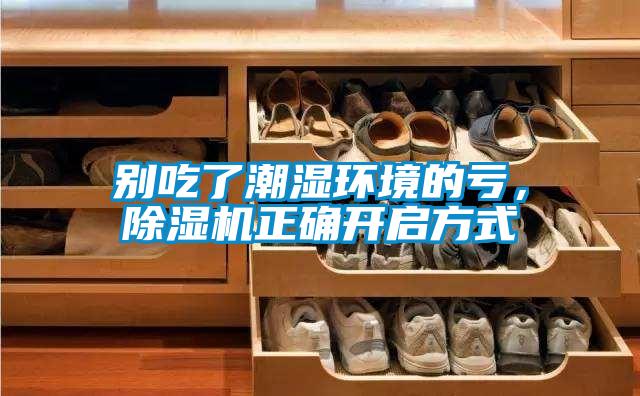 別吃了潮濕環境的虧，除濕機正確開啟方式