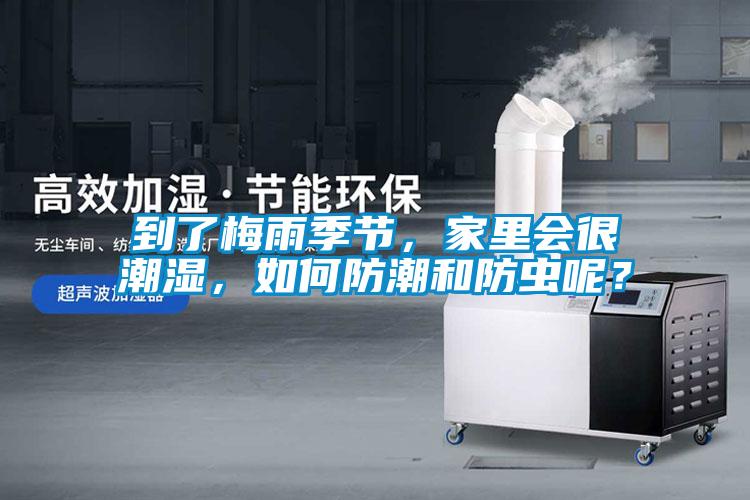到了梅雨季節(jié)，家里會(huì)很潮濕，如何防潮和防蟲(chóng)呢？