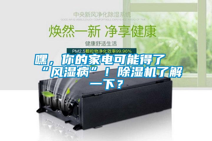 嘿，你的家電可能得了“風(fēng)濕病”！除濕機(jī)了解一下？
