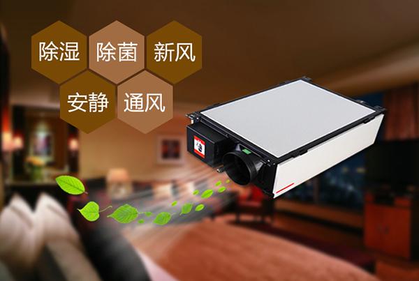只有做好品牌，除濕機企業(yè)才能更長久