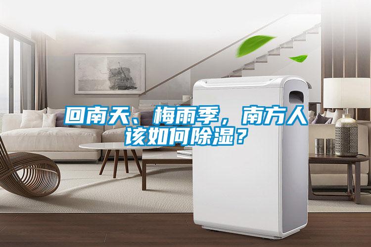 回南天、梅雨季，南方人該如何除濕？