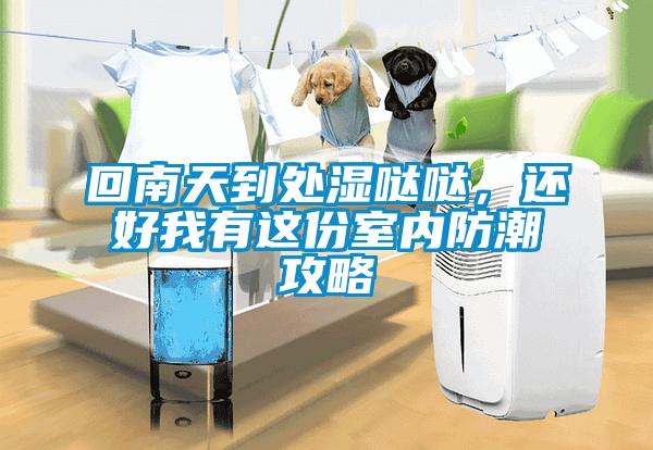 回南天到處濕噠噠，還好我有這份室內防潮攻略