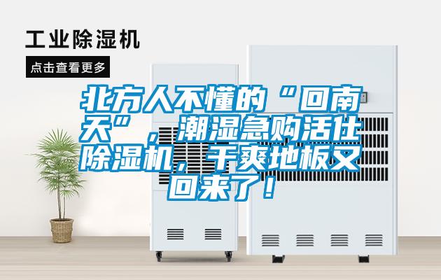 北方人不懂的“回南天”，潮濕急購活仕除濕機，干爽地板又回來了！