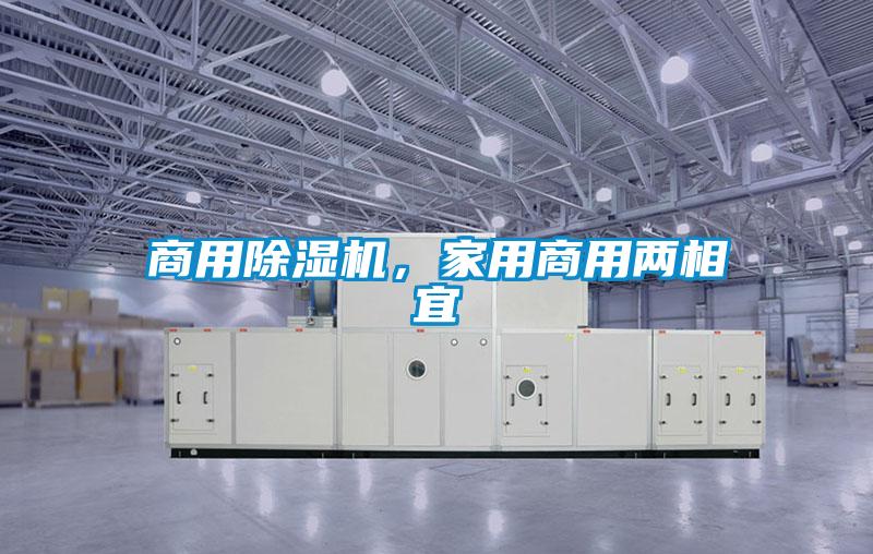 商用除濕機，家用商用兩相宜