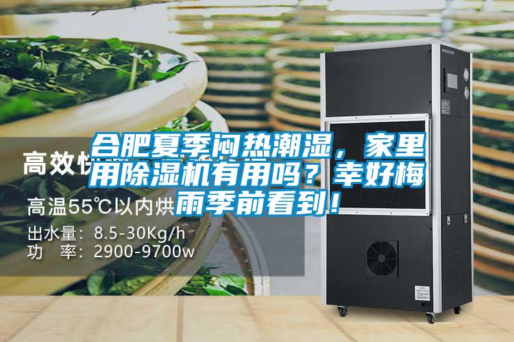 合肥夏季悶熱潮濕，家里用除濕機有用嗎？幸好梅雨季前看到！