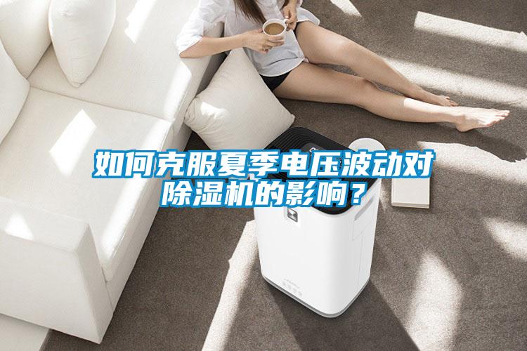 如何克服夏季電壓波動對除濕機的影響？