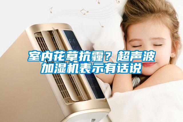 室內花草抗霾？超聲波加濕機表示有話說