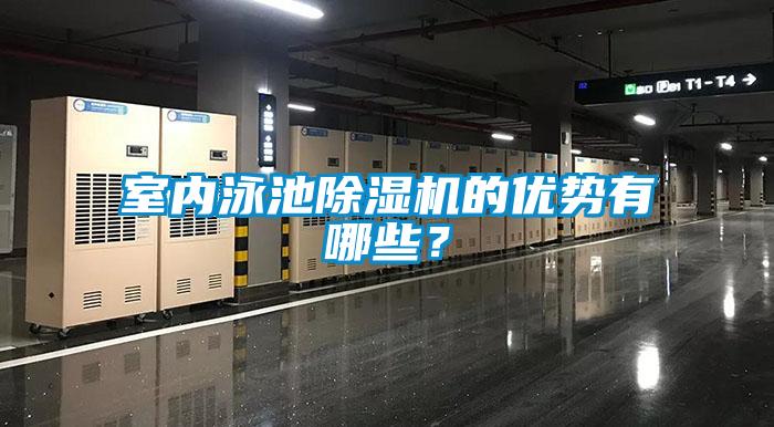 室內泳池除濕機的優勢有哪些？
