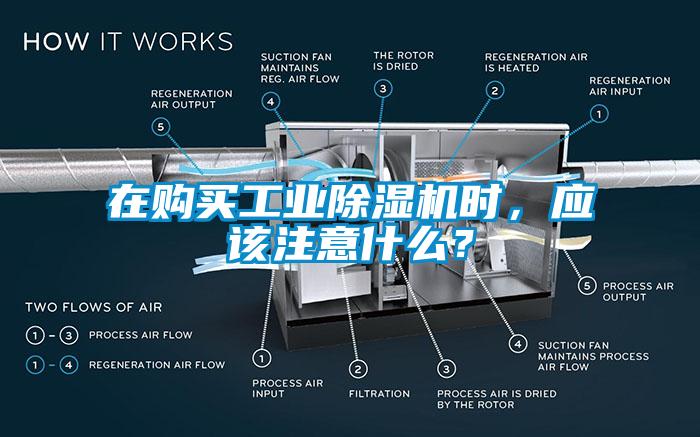 在購(gòu)買工業(yè)除濕機(jī)時(shí)，應(yīng)該注意什么？