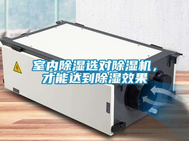室內除濕選對除濕機，才能達到除濕效果