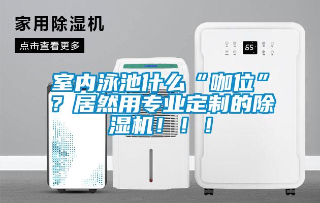 室內泳池什么“咖位”？居然用專業定制的除濕機?。。?/></p>
						    <p style=