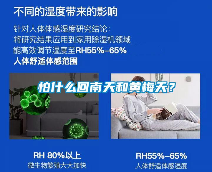 怕什么回南天和黃梅天？
