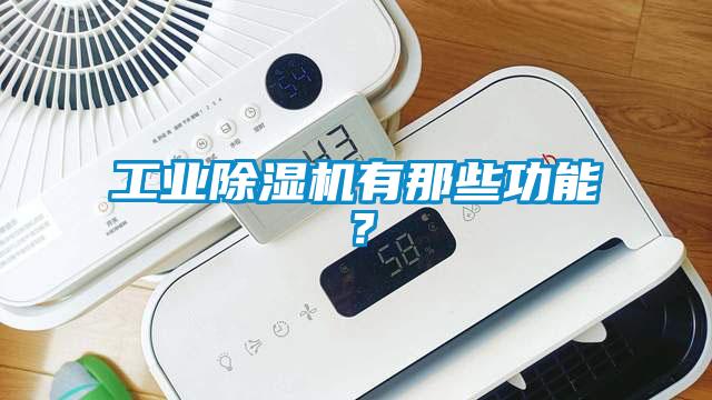 工業(yè)除濕機有那些功能？