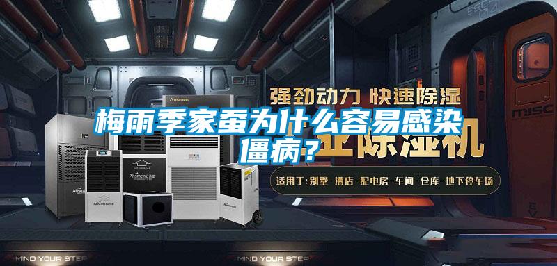 梅雨季家蠶為什么容易感染僵??？