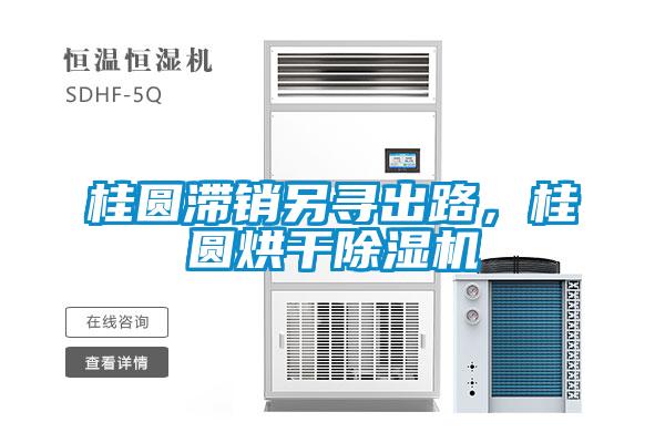 桂圓滯銷另尋出路，桂圓烘干除濕機