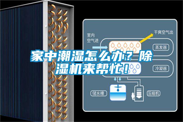 家中潮濕怎么辦？除濕機(jī)來幫忙！