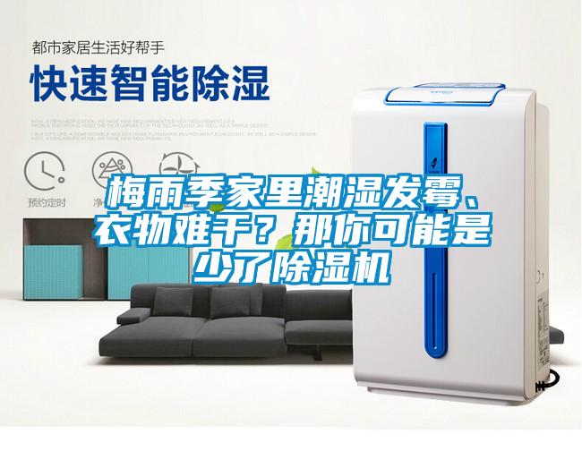 梅雨季家里潮濕發霉、衣物難干？那你可能是少了除濕機