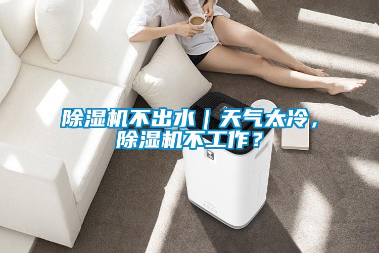 除濕機不出水｜天氣太冷，除濕機不工作？