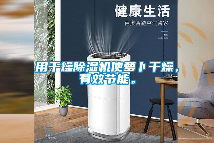 用干燥除濕機使蘿卜干燥，有效節能。