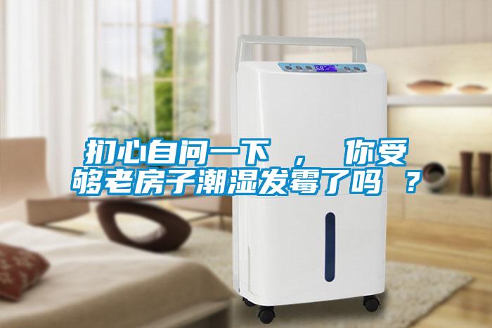 捫心自問一下 ， 你受夠老房子潮濕發(fā)霉了嗎 ？