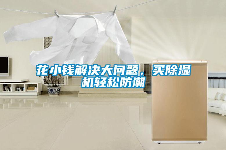 花小錢解決大問題，買除濕機輕松防潮