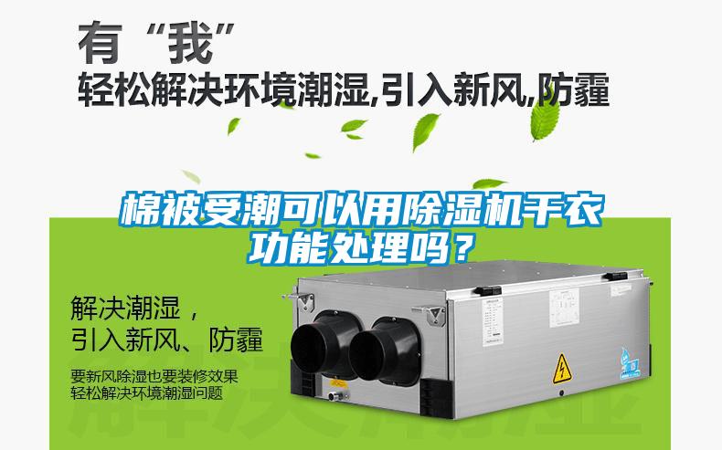 棉被受潮可以用除濕機干衣功能處理嗎？
