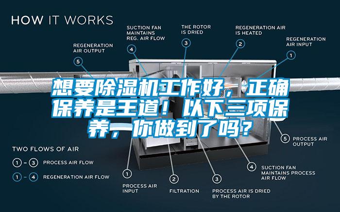 想要除濕機工作好，正確保養是王道！以下三項保養，你做到了嗎？