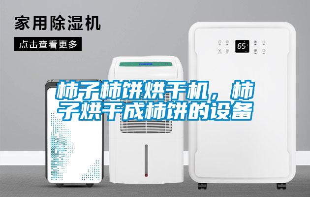 柿子柿餅烘干機，柿子烘干成柿餅的設(shè)備