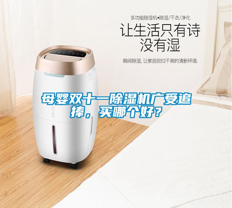 母嬰雙十一除濕機廣受追捧，買哪個好？