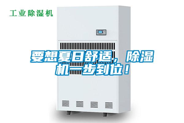 要想夏日舒適，除濕機一步到位！