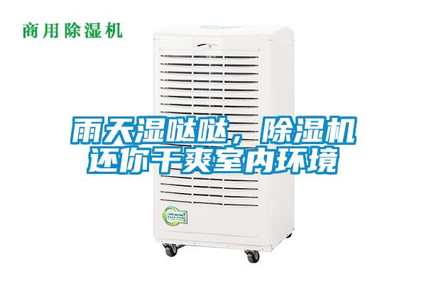 雨天濕噠噠，除濕機還你干爽室內環境